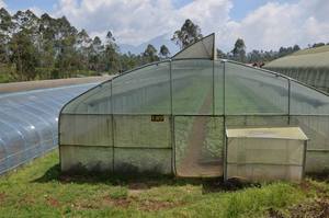 Malla de Sombra de Protección Solar de PE Resistente a los Rayos UV para Jardines y Granjas, Malla de Sombra Agrícola con Servicio de Corte Personalizado - Product Image 2