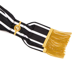 Masonic regalia Holy Royal Arch regial bash RA chapter กับสามเหลี่ยมทองคำแท่งและทองแท่ง - Product Image 2