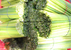 Pajitas de hierba desechables naturales ecológicas, paja de hierba, Vietnam, buen precio y alta calidad en Vietnam - Product Image 5