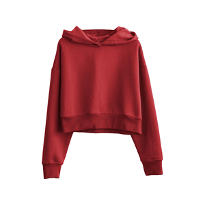 2025 femmes personnalisé 100% coton sweats vestes à manches longues recadrée sweat à capuche zippé respirant doublure solide avant hiver - Product Image 1