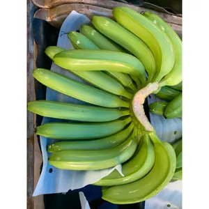 顶级产品越南新鲜水果和蔬菜-越南新鲜绿色卡文迪许香蕉-新鲜香蕉大尺寸