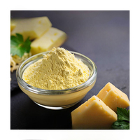 Herbojit International, Queso en Polvo Liofilizado 100% Natural de Calidad Superior (Cheddar), Hecho en India, 12 Meses de Duración, Bolsa de Polietileno