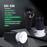 Spot LED Minimaliste Sans Cadre Haut de Gamme Facile à Installer Anti-éblouissement Profond Petite Taille Protection des Yeux Pour Bijouterie