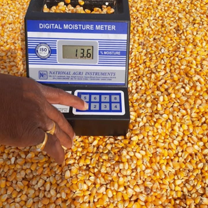 Maíz Amarillo Natural Glutinoso Orgánico de Primera Calidad |   Granos de Maíz Secos de Grado Alimenticio en Venta - Product Image 2