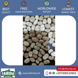 Frijoles frescos marrones nutritivos de grado premium de alta calidad de origen egipcio, frijoles secos competitivos, precio de compra a granel, exportaciones - Product Image 3