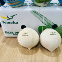 Goedkope Verse Groene Kokosnoten Natuurlijke Te Koop Goede Smaak Klaar Om Te Exporteren