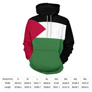 Sweat à capuche en molleton 100 % coton pour homme, poids lourd 420 g, haute qualité, personnalisable, avec drapeau palestinien brodé et imprimé en relief, hiver - Product Image 5