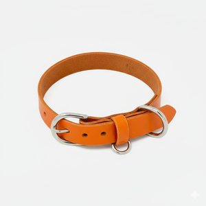 Elite Collar de cuero para mascotas Diseño atemporal Collar de perro de calidad premium con diseño vintage de Divine International - Product Image 4