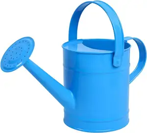 solid metal watering can sky blue color lants flowers watering can Home and Garden Manufacture in India