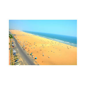 Competitive Prices on Beech Long <b>Logs</b> for Durable and Solid Furniture Pieces Available in Bulk - Product Image 5