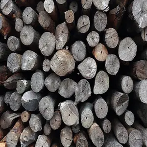 BBQ charcoal_Mangrove charcoal hight quality competitive price hard wood charcoal from Viet Nam