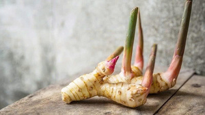 CALIDAD PREMIUM DE EXPORTACIÓN GALANGAL CONGELADO SUMINISTRO A GRANEL NATURAL ORGÁNICO OFERTA CALIENTE INGREDIENTE AL POR MAYOR SUMINISTRO TOP VENTAS - Product Image 2