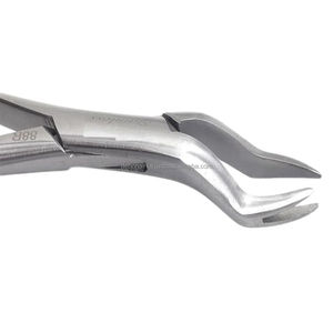 Instruments dentaires manuels de haute qualité, forceps d'extraction de type américain, pré-molars, acier inoxydable, certifiés CE pour les hôpitaux - Product Image 3
