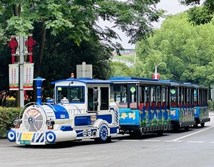 Trenino turistico per visite turistiche, vagoni elettrici di alta qualità per parchi divertimento in vendita - Product Image 1