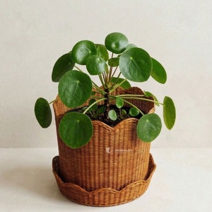 Juego de 2 Cestas de Mimbre Festoneadas, Cubierta Decorativa Redonda de Mimbre para Macetas, Estilo Moderno Rústico, Organizadores de Almacenamiento de Hierba Marina Vietnamita - Product Image 1