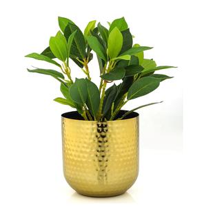 Fabricant de pots de fleurs en laiton colorés et design pour la décoration intérieure au meilleur prix fournisseur - Product Image 6