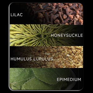 Performans gecikme ürünleri erkekler için süper cinsel aktivite zaman gecikmesi ile mendil - Product Image 4