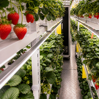 Conteneur de culture de fraises d'intérieur pour la production commerciale de fruits hydroponiques et l'agriculture intelligente
