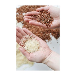 Arroz integral suave y seco estándar de exportación para los mercados de alimentos africanos de Oriente Medio y Asia - Product Image 2