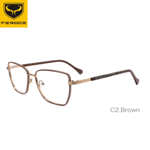 FEROCE Silmo Marcos ópticos Gafas Ópticas Última tendencia Gafas Marco Gafas de metal Gafas - Product Image 3