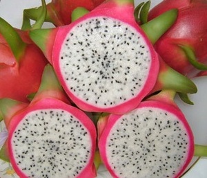 จัดหาที่มีคุณภาพสูงแช่แข็งแห้งวิธีแช่แข็งมังกรผลไม้ Ms โซฟี - Product Image 3