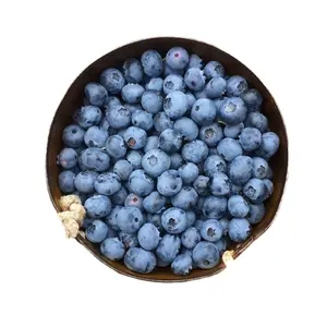 IQF Frozen Blueberry Export Price