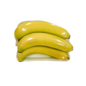 Cavendish <b>Banana</b> Hot Organic Cultivation Type Tanachi Brand Name Sweet Taste - Product Image 2