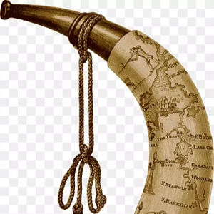 Cuerno de Soplado Natural de Alta Calidad y Cuerno de Soplado de Venta Caliente con la Mejor Calidad al Precio Más Bajo, Mayorista de la India para Exportación - Product Image 2