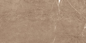 Look de meubles Carreaux les plus précieux carreaux de porcelaine imprimés numériques Fabrication en Inde pour dressing. - Product Image 4