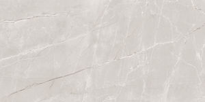 Dernier arrivage Carrelages de sol en porcelaine émaillée aspect granit au design moderne brique réfractaire pour murs intérieurs Salles de séminaire fabriquées - Product Image 4