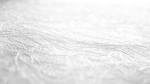 Hecho en Alemania-Rollos de papel pintado con revestimiento Papel pintado de vinilo no tejido blanco pintable para pintura costum-25,00x1,06 m - Product Image 5