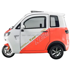 2024 EEC COC Electric Tricycles Closed 3-Wheel Cars for Elderly