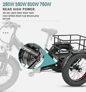Vente de tricycle électrique <span class=keywords><strong>léger</strong></span> de qualité supérieure tricycle pour adultes tricycle électrique tricycle électrique vélos <span class=keywords><strong>cargo</strong></span> - Product Image 3