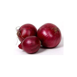 NOUVELLE récolte 100 mm Oignon Rouge Frais SUPER Qualité Prix TRÈS COMPÉTITIFS - Product Image 1