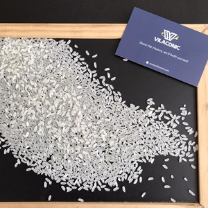 Camolino Egyptian/Japonica Sushi Short Round Grain Japanese Calrose White Rice para comida WA + 84 813 623 970 - Product Image 2