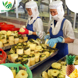 สับปะรดอบแห้งเนื้อนิ่มคุณภาพสูงจากเวียดนามลดราคาสุดๆ! ผลิตภัณฑ์ทางการเกษตรสำหรับฤดูกาลล่าสุดพร้อมสำหรับการส่งออก - Product Image 4