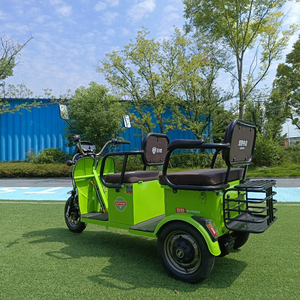 Eec Luxury <b>Electric</b> Tricycle 7500W Power <b>Pedicab</b> 1000W Differential Motor Open Body Steel Trike 60V 48V Passenger Tuk Tuk - Product Image 3