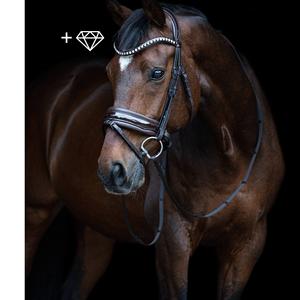 Brida de cuero ecuestre con logotipo personalizado, brida de caballo occidental con costuras elegantes, características de seguridad, bolsa de brida de carreras incluida - Product Image 1