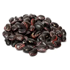 Black Kidney Beans Günstiger Export preis/Sun Dried Organic Black Bean