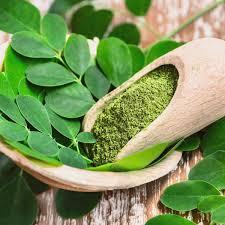 Poudre de feuilles de Moringa, matière première polyvalente pour les aliments, les boissons et le traitement - Product Image 5