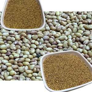 Berseem Clover | Corte limpio y fino para un fácil manejo - Product Image 1