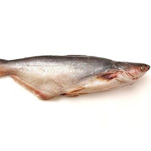 Filetes de Pescado Pangasius Congelados, Filetes de Pescado Basa al por Mayor, Filetes de Pangasius, Filetes de Basa - Product Image 1