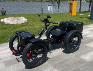 Bicicleta Eléctrica de Cuatro Ruedas SMD-A04 48V30AH X2 con Motor de Torque Medio de 1000W y Transmisión Shimano de 7 Velocidades BAFANG - Product Image 1