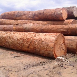 Heavy-Duty Azobe Timber Logs & Lumber | Sustainable Lophira Alata Wood for Bridges and Railway Sleepers - Product Image 1
