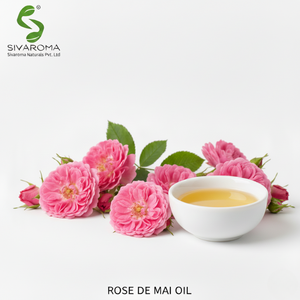 Huile de Rose de Mai 100% Pure de Qualité Supérieure, Soigneusement Traité, pour Produits d'Arôme et de Soins Personnels de Luxe - Product Image 4