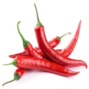 Piment rouge frais épicé frais de la ferme Super à prix superbe - Product Image 3
