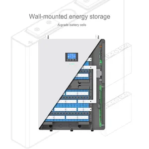 LiFePO4 daya surya terpasang di dinding, Penyimpanan lithium daya energi 48V 10kWh 200AH 100AH 5kWh 51.2V baterai sistem rumah