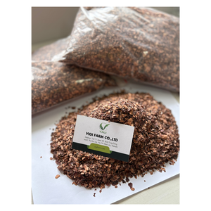 Noix de cajou naturelle Testa du Vietnam pour la production durable de granulés de carburant - Product Image 4