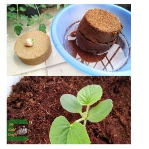 Bloc de tourbe de coco en gros d'usine, Vietnam, substrat naturel de fibre de coco pour la plantation, l'agriculture en serre et l'utilisation en jardin - Product Image 2