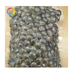 Graines de Sacha Inchi du Vietnam en gros, producteur fiable de graines de Sacha Inchi, graines de Sacha Inchi brutes en vrac pour les acheteurs - Product Image 4